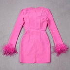 Women's Mini Dress | Feather Cuff Bustier Bodycon Long Sleeve